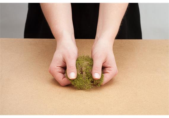 Noch 07268 Foliage mittelbraun | Bild 3