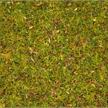NOCH 08330 Streugras “Blumenwiese”, 20 g | Bild 2