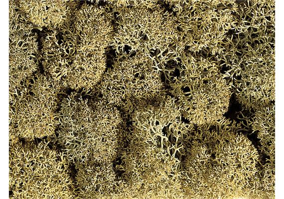 Noch 08600 Dekormoos steingrau, 35 g | Bild 2