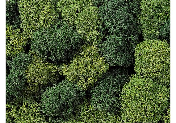 NOCH 08621 Dekormoos hell- und dunkelgrün sortiert, 75 g | Bild 2