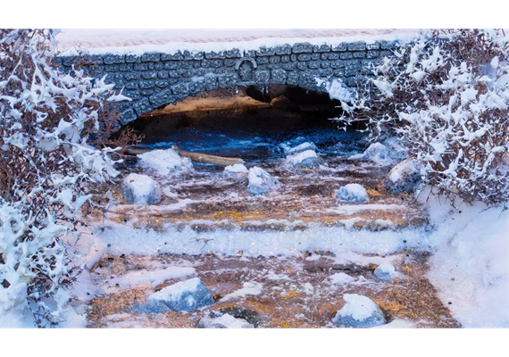 NOCH 08754 Eiskristall-Paste - H0, TT, N, Z, 0, 1, G, H0m, H0e | Bild 4