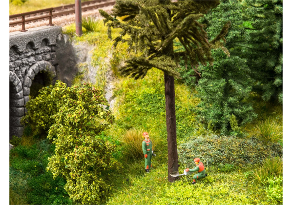 Noch 12956 Baumfällarbeiten - N (1:160) | Bild 2