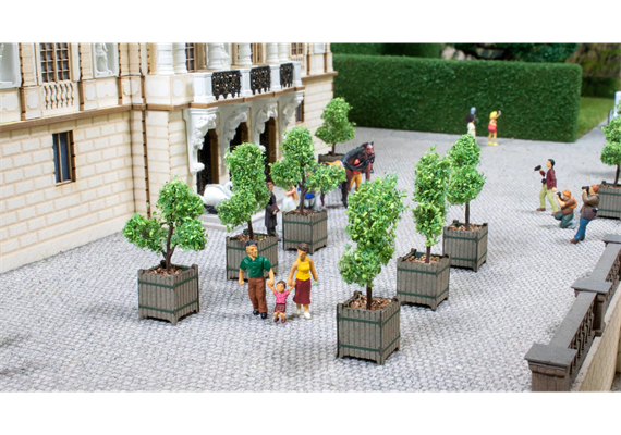 Noch 14013 Zierbäume in Kübeln, 2 Stück - H0 (1:87)