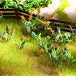 Noch 14056 Feld- und Wiesenpflanzen - H0 (1:87) | Bild 1