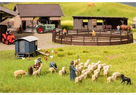Noch 15751 Schafe scheren, H0 1:87 | Bild 2
