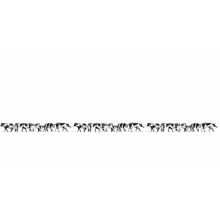 Noch 16164 XL-Set “Kühe schwarz-weiß” - H0 (1:87)