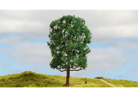 Noch 20105 Kastanie, 19 cm hoch - H0, H0m, TT, N, Z, 0, 1, G | Bild 1