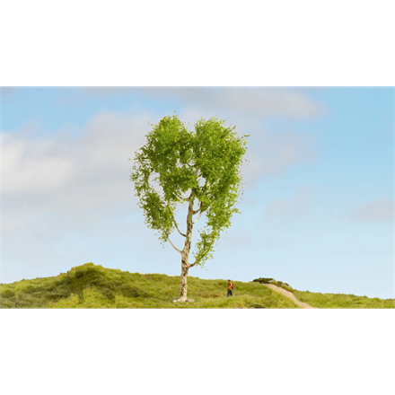 Noch 20125 Moorbirke, 21 cm hoch