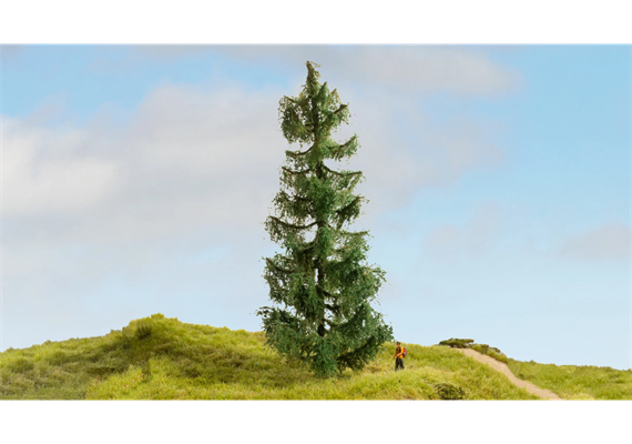 Noch 20190 Fichte 19 cm hoch | Bild 2