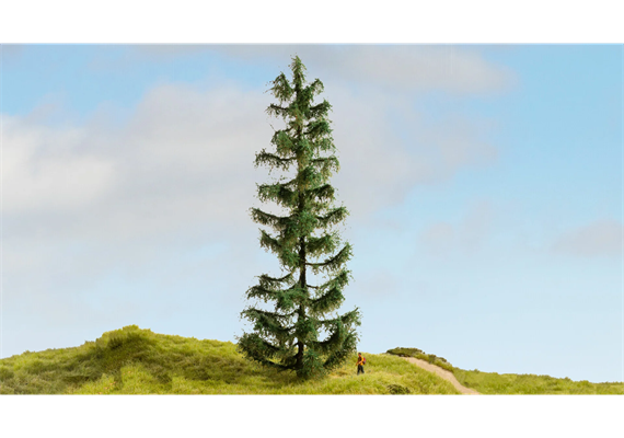 Noch 20192 Fichte, 25 cm hoch | Bild 1