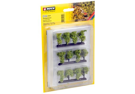 Noch 21530 Plantagenbäume | Bild 3