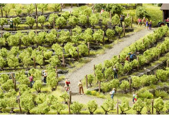 Noch 21540 Weinreben - H0 (1:87) | Bild 3