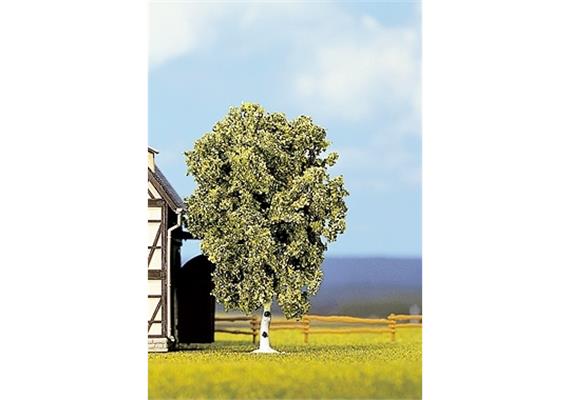 NOCH 21640 Birke, 11,5 cm hoch