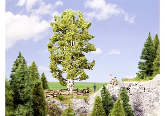 Noch 21641 Doppelstämmige Birke, 19 cm hoch | Bild 1