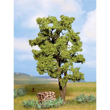 Noch 21660 Akazie, 15 cm hoch