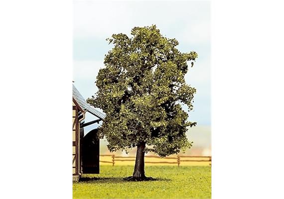 NOCH 21690 Hainbuche 13cm