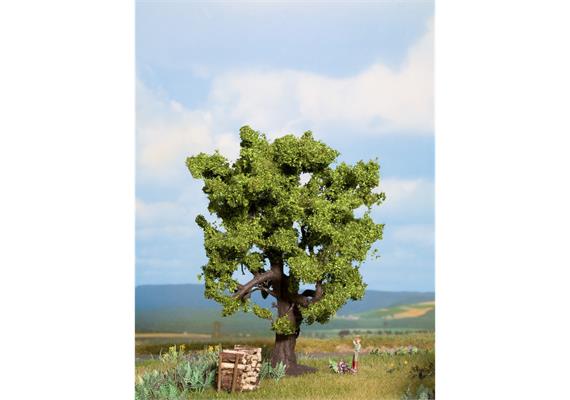 NOCH 21760 Eiche 16 cm | Bild 1