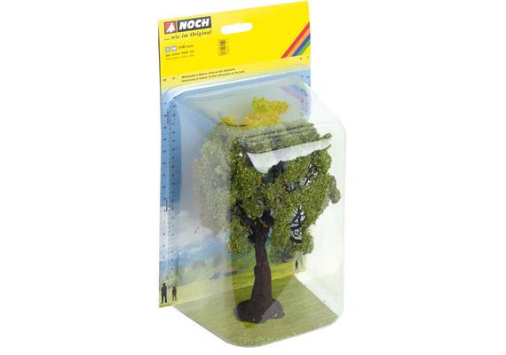 Noch 21761 Eiche, 19 cm hoch | Bild 2