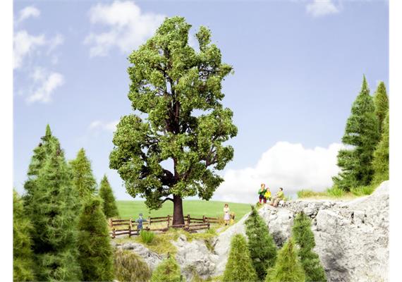 Noch 21802 Kastanie, 18,5 cm hoch | Bild 1