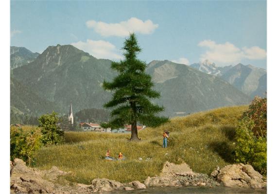 Noch 21810 Nordmanntanne 12cm hoch | Bild 2