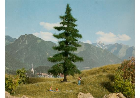 Noch 21812 Nordmanntanne 18.5 cm hoch