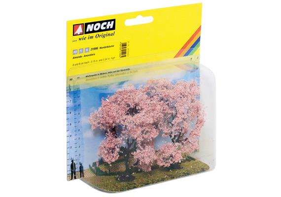NOCH 21996 2 Mandelbäume 8 und 9 cm - H0 (1:87) | Bild 2