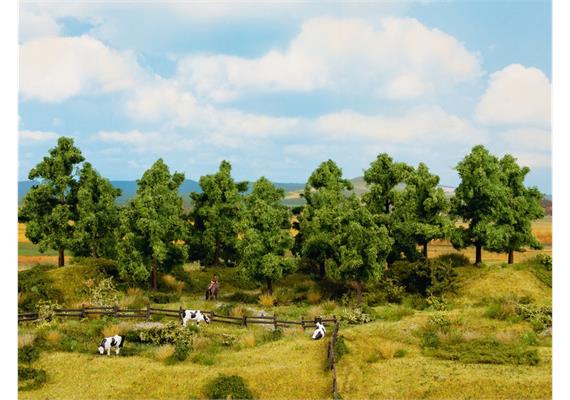 Noch 24600 Laubbäume, 8 Stück, 10 - 14 cm hoch, H0 | Bild 1