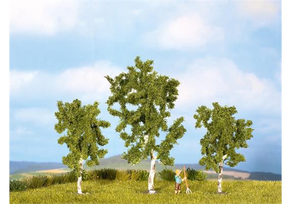 Noch 25120 Birken, 3 Stück - H0 (1:87) | Bild 1