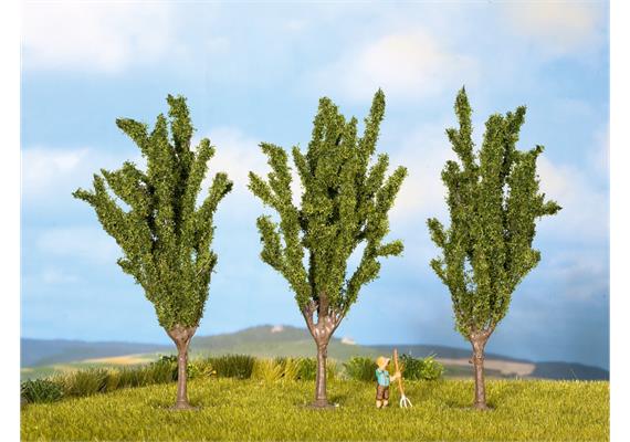 Noch 25140 3 Pappeln 12 cm - H0 (1:87) | Bild 1