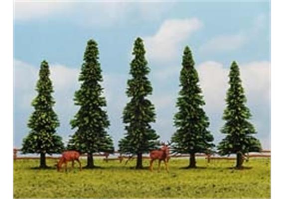 Noch 25440 5 Modellfichten N / Z