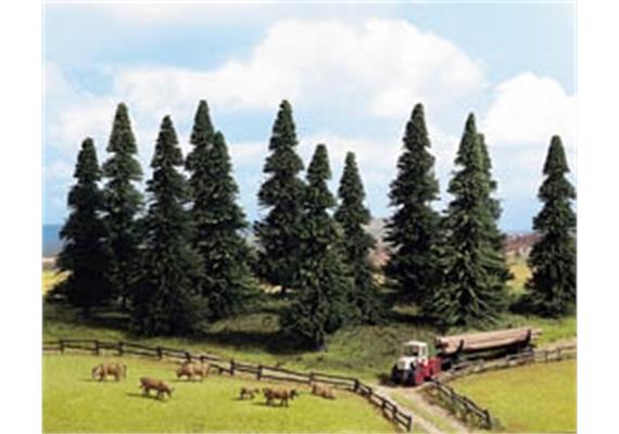 NOCH 26322 Modell-Tannen-Sortiment 10Stk. H0