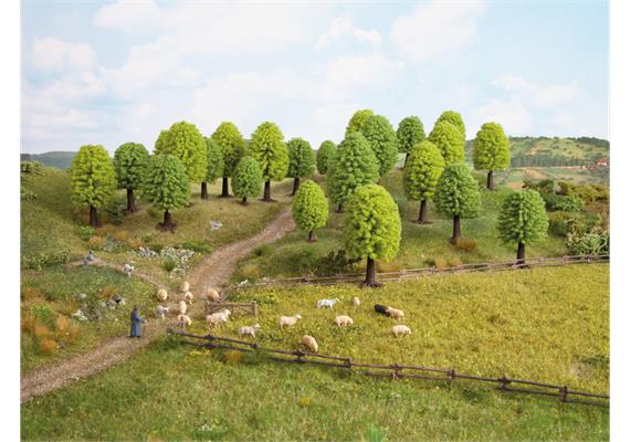 Noch 26801 Laubbäume, 25 Stück | Bild 1