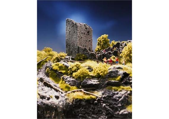 Noch 58600 Burgruine HO | Bild 2