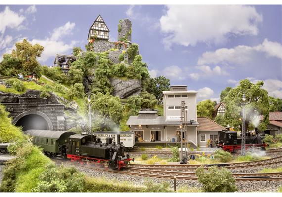 Noch 71904 Ratgeber "Familien-Hobby Modellbahn" | Bild 4