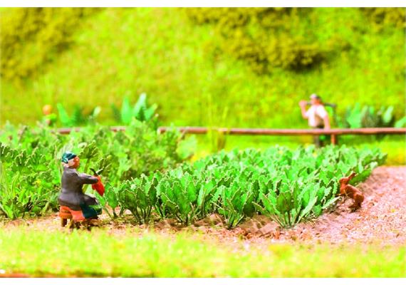 Noch Laser-Cut minis "Kohlrabi" HO | Bild 1