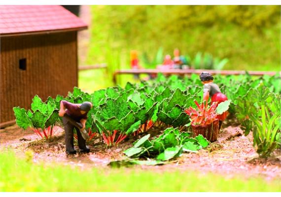 Noch Laser-Cut minis "Rhabarber" HO | Bild 1