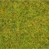 Noch 50190 Sommerwiesen-Gras, 100 gr. Beutel, verschliessbar | Bild 2
