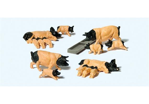 Preiser 10149 Schwäbisch-Hällische Schweine HO