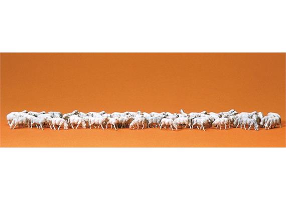 Preiser 14411 Schafherde, 60 Stück - H0 (1:87)