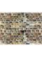Vollmer 46045 Mauerplatte Sandstein hellgrau aus Karton, 25 x 12,5 cm - H0 (1:87)