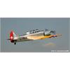 ACE 001550 Pilatus P-2-05 A-126