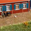 Auhagen 11474 Fischerhaus - H0 (1:87) | Bild 3