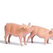 Busch 1172 Sechs Schweine - H0 (1:87) | Bild 1