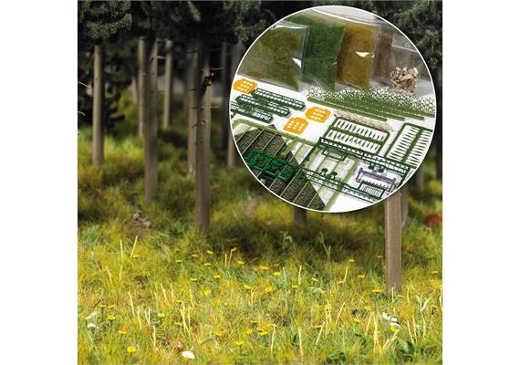 Busch 6043 Starter-Kit Wald & Wiese