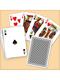 Carta.Media 7500 Pokerkarten in Klarsichtbox