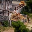 Faller 130013 Jubiläumsmodell Schwarzwaldhof mit 2 Figuren - H0 (1:87) | Bild 4