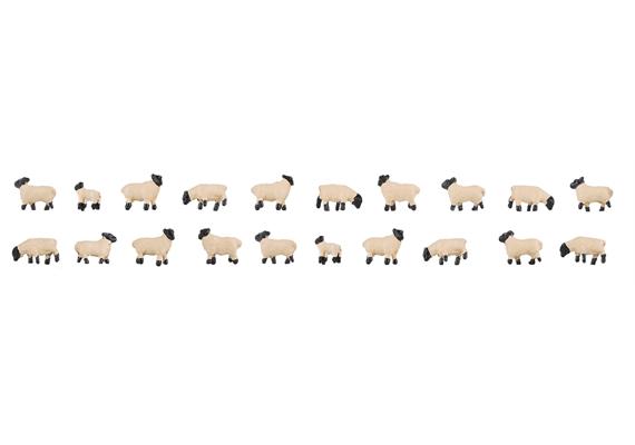 Faller 155906 20 Schwarzkopfschafe - N (1:160) | Bild 1