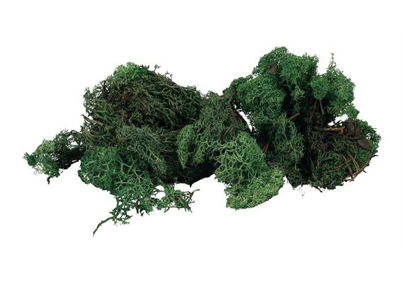 Faller 170431 Islandmoos, grün, 50 g | Bild 1