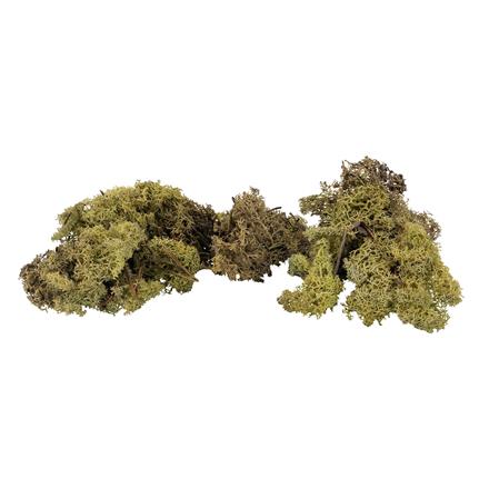 Faller 170432 Islandmoos, olivgrün, 50 g