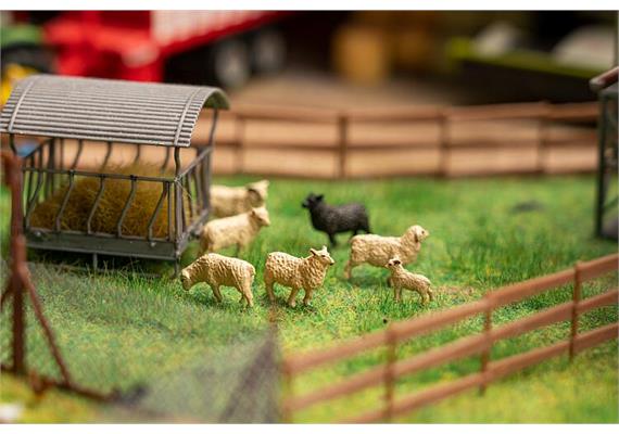 Faller 180236 Figuren-Set mit Mini-Sound-Effekt Schafe - H0 (1:87) | Bild 1